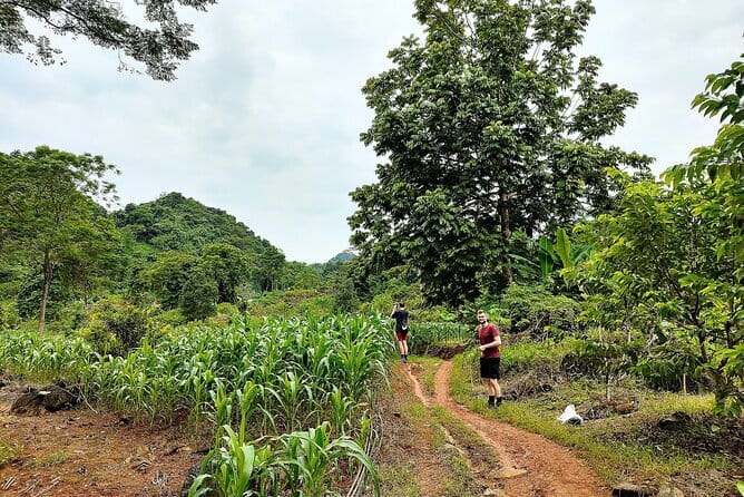 1 Day Ha Giang Loop Tour by Motorbike with Easy Rider - Loopers - Easy riders make the road day simpler