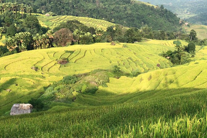 2-Day Motorbike Tour to Mu Cang Chai Loop from Sapa - Why this route is more than a Sa Pa day trip