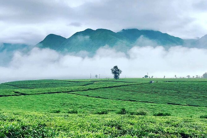 2-Day Motorbike Tour to Mu Cang Chai Loop from Sapa - Day two reaches La Pán Tẩn’s famous terraces