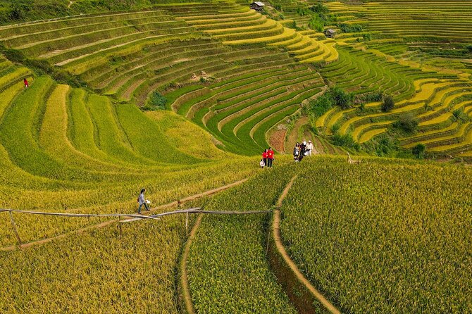 2-Day Motorbike Tour to Mu Cang Chai Loop from Sapa - The bamboo forest offers a quieter hour and a half