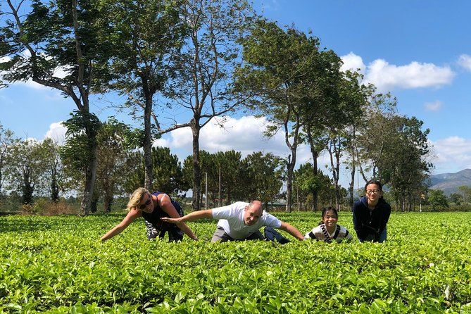 2 Days Motorbike Tour From Mui Ne To Da Lat Or Vice Versa - What the motorbike format feels like