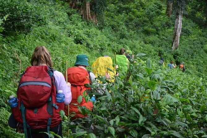 3 Day Motorcycle Tour (Mae Hong Son Loop) from Chiang Mai, Thailand - Who should book this ride
