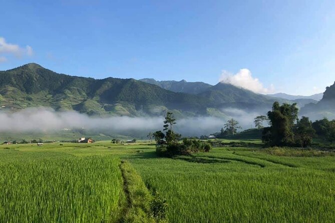 3D2N- Rice Terraces Treks & Easy rider from Sa Pa - Should you book it?