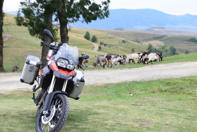 7 Day Best of Transylvania Motorcycle Tour from Cluj - Day 3: Bran Castle and Rasnov