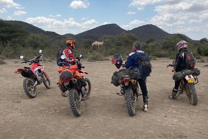 7-Day Tanzania Private Guide Motorcycle Safari Tour - Day 5: Tarangire wildlife corridors and 275 kilometers of gravel
