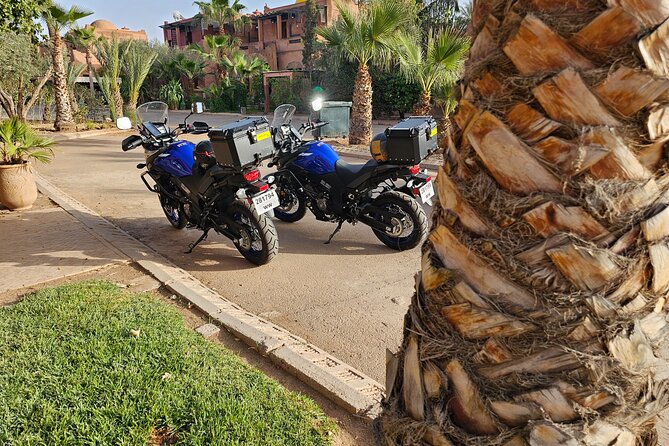 A Day of Motorcycle Ride from Marrakech - The easy forest trail and mountain coffee stop