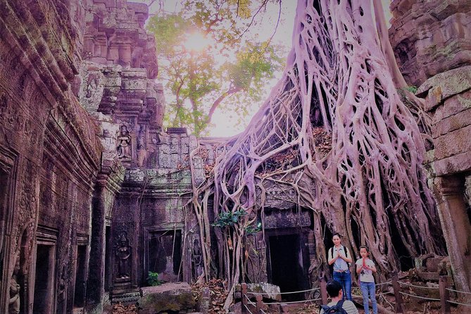 Angkor Wat Bakeng Sunset by Motorcycle Private Tour - Ta Prohm and the Tomb Raider connection