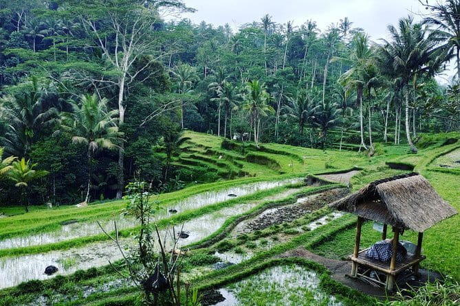 Bali Dirt Bike Enduro at Batur Volcano and Kintamani Forest - Returning to Base Camp and Changing