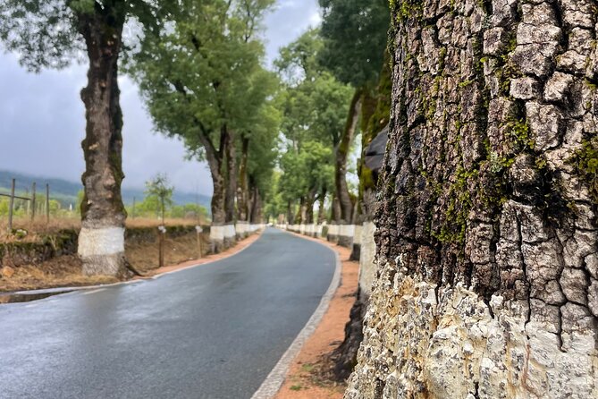 Buggy and Moto 4 Tours in Marvão - The river-pool possibility