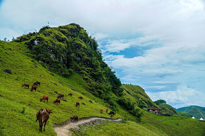 Cao Bang Loop 3 Days Easy Rider with The Loop Tours - Who will enjoy this Cao Bang route