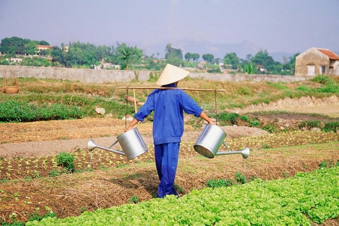 Countryside and Villages Tour By Motorbike - Why a scooter is the right way to see Hoi An’s edge