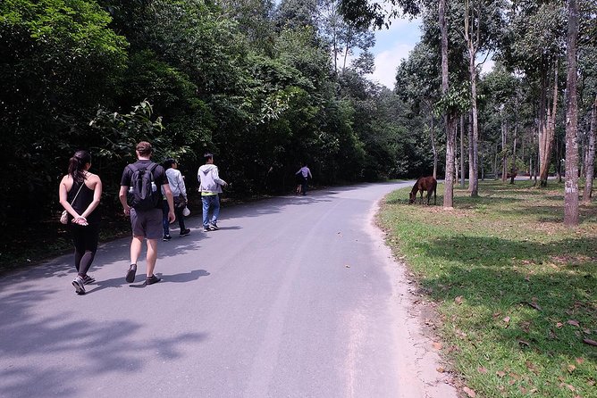 Cu Chi Tunnels By Motorbike and Scooter - Seeing a Rubber Tree Farm