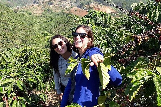 Da Lat Loop Tour On Motorbike - Private Tour - Elephant Falls and the sound of the Cam Ly River