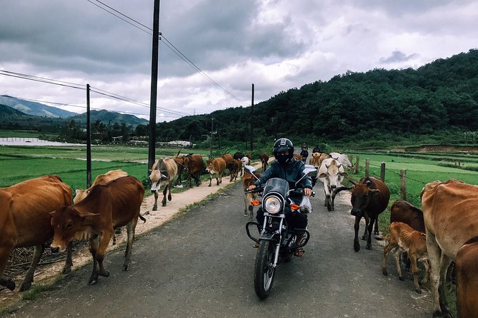 Da Lat's Countryside & Waterfalls Day Tour by Motorbike - Why this motorbike day works so well in Da Lat