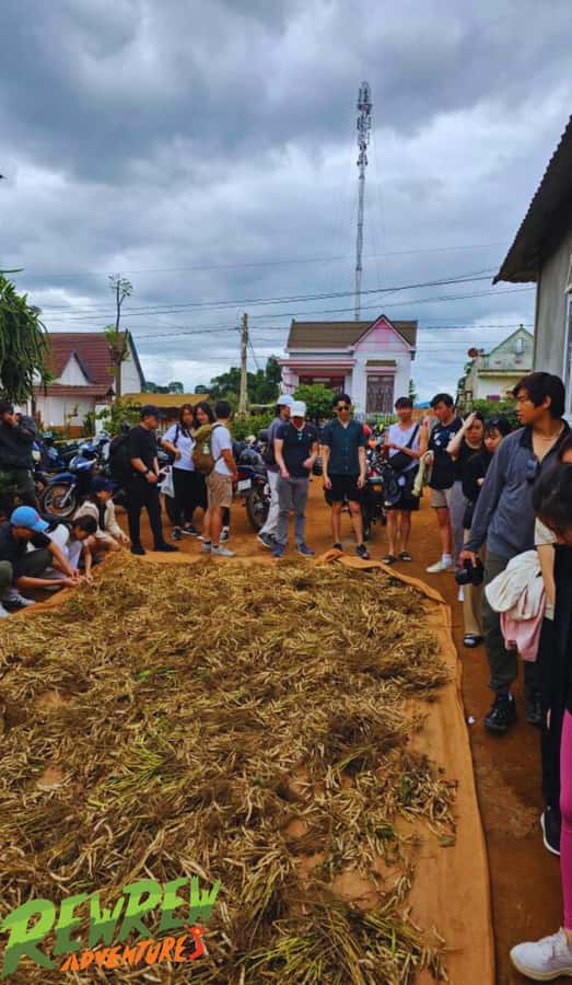 DALAT EASY RIDER CITY SMALL GROUP TOUR BY MOTORBIKE - Key points to know before you book