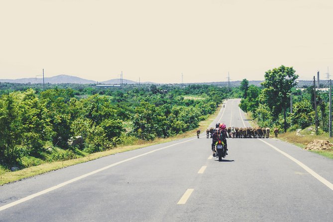 Dalat Go Kart - Mongoland & Dalat Countryside Group Tour - A playful start at Cao Nguyen Hoa Da Lat