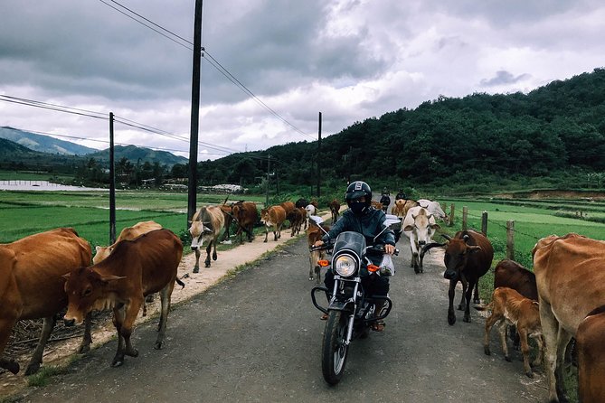 Dalat Go Kart - Mongoland & Dalat Countryside Group Tour - Elephant Falls, with an important closure warning