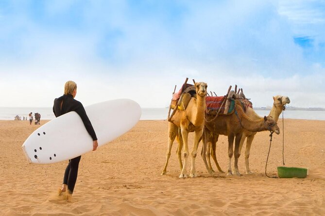 Discovery Tour around Essaouira by Electric Motorcycle - Key points to know before you book