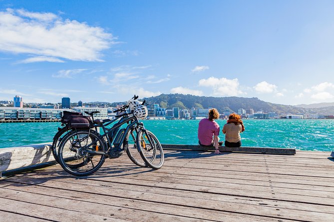Easy Rider Two-Hour Wellington eBike Tour - Meeting Kupe at Te Wharewaka o Poneke