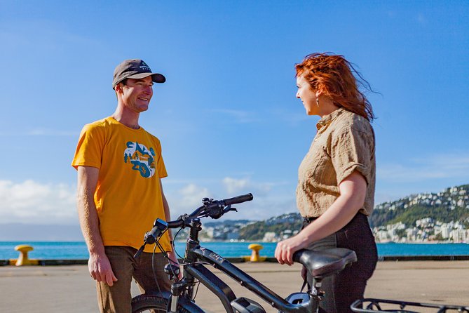 Easy Rider Two-Hour Wellington eBike Tour - Passing Te Papa and the city landmarks