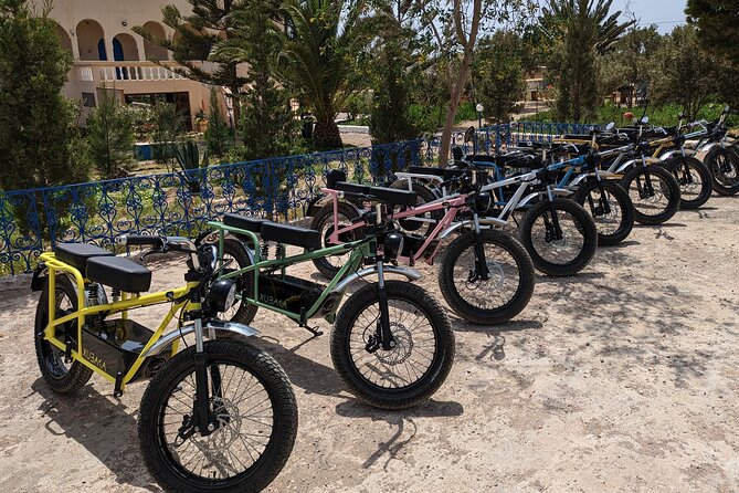 Essaouira Express Circuit by Electric Motorcycle - Oued Ksob, horses, and the edge of town
