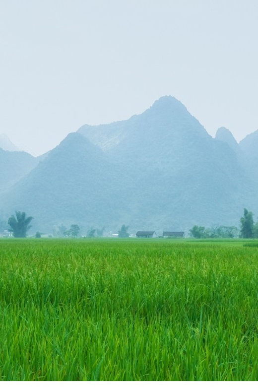 From Hanoi: Easy Rider 2 Day Motorbike Tour of Cao Bang Loop - Ban Gioc Waterfall by Boat and on Foot