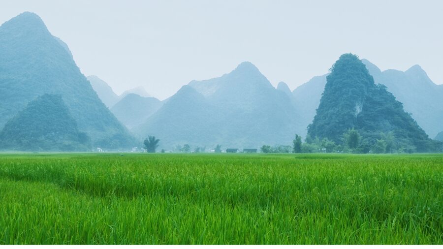From Hanoi: Easy Rider 2 Day Motorbike Tour of Cao Bang Loop - The Overnight Bus from Hanoi to Cao Bang