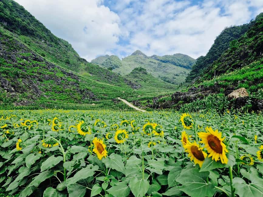 From Hanoi : Ha Giang Loop 3D2N Easy Rider - Day one: Bac Sum Pass, Quan Ba, and the Hmong King Palace