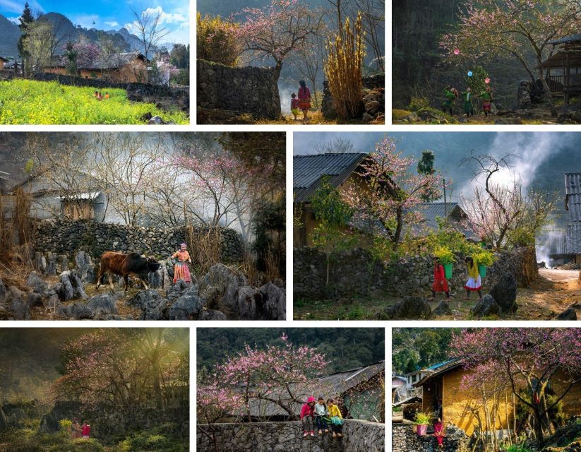 From Hanoi: Ha Giang Loop 4 days 4 nights with easy rider - Day 4: Lung Khuy Cave and the ride back to Ha Giang