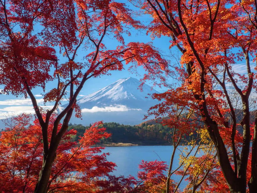 From Tokyo: Private Motorcycle Tour - Fuji, Hakone, Onsen - Tenzan Onsen, lunch, and a slower middle of the day