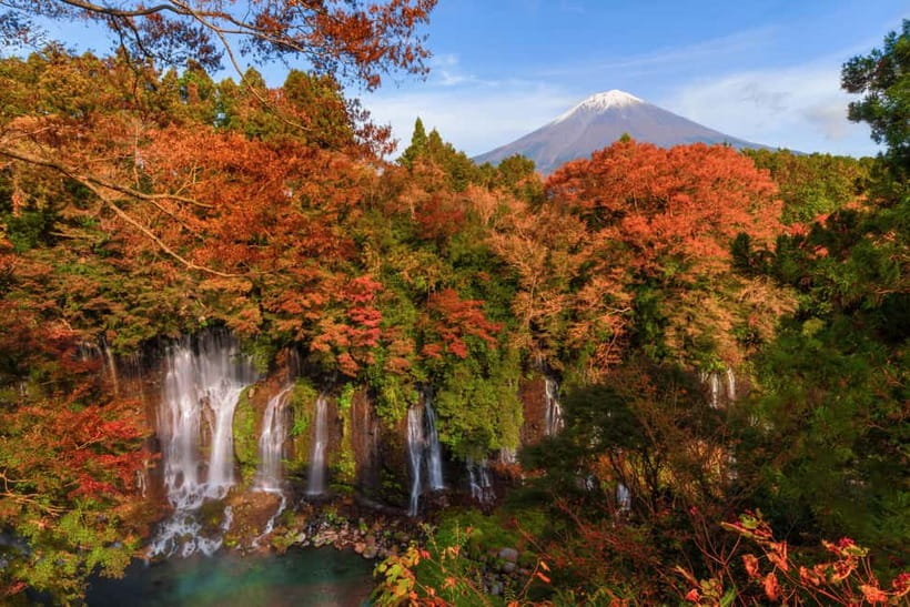 From Tokyo: Private Motorcycle Tour - Fuji, Hakone, Onsen - Choosing between the museums