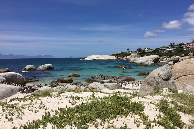 Full Day Cape Peninsula Motorcycle Tour on a Royal Enfield - Boulders Beach and the African penguins