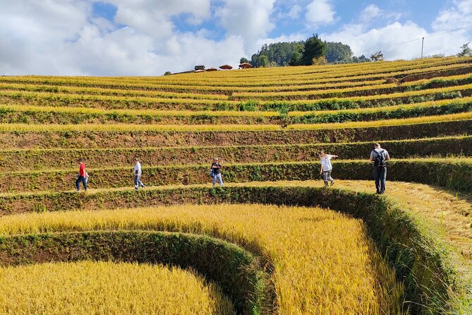 Full day motorbike Mu Cang Chai - Why a motorbike is the right way to see Mu Cang Chai