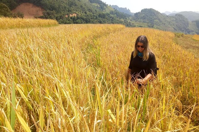 Ha Giang loop 3 or 4 Days, Small Group Tour (within easy riders) - Day 1: Quan Ba, village roads, and Du Già