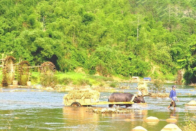 Ha Giang Loop Motorbike Tour 3 Days from Hanoi Private Room - Day three: Du Gia Waterfall and the road back