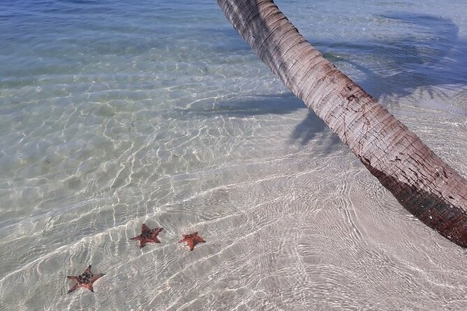Half-day Motorbike Tour in Phu Quoc Island - What guides add to the day