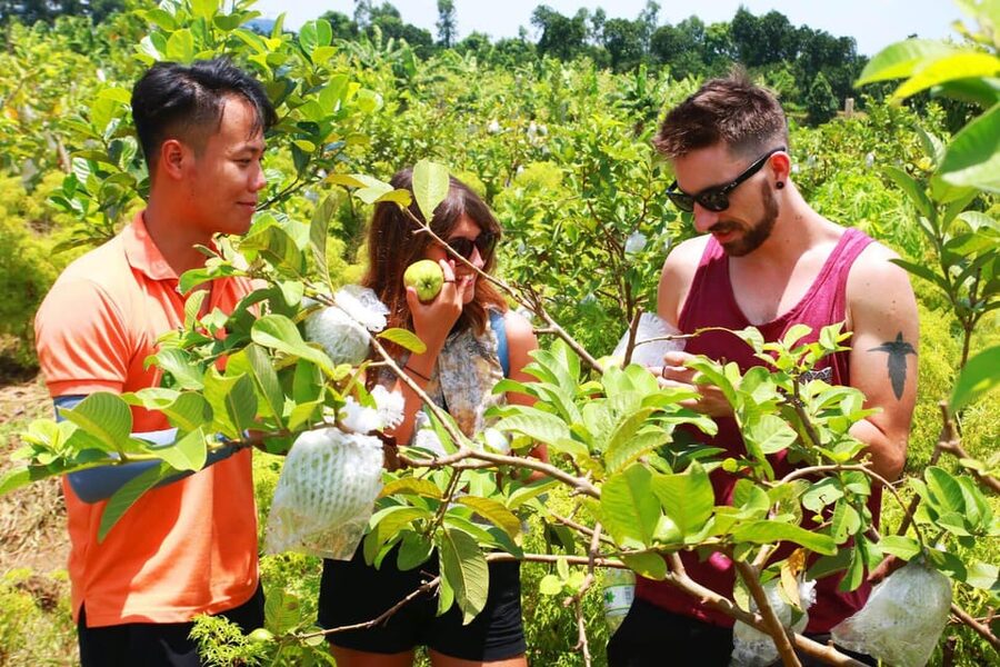 Hanoi Adventure Tour by Motorbike - Should you book the Hanoi motorbike tour?