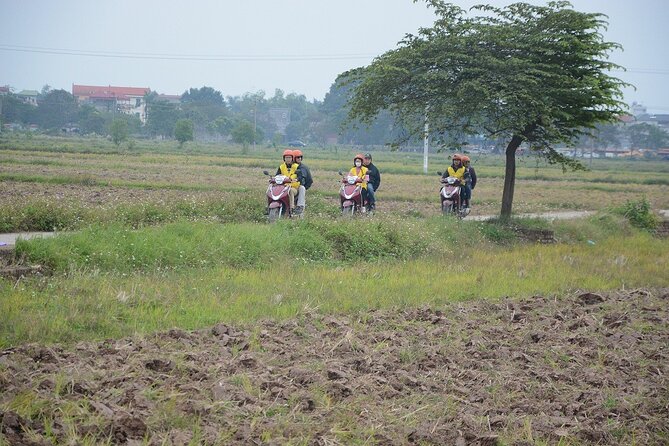 Hanoi Countryside Motorbike Tours Led By Women - Vietnamese food at the end of the ride