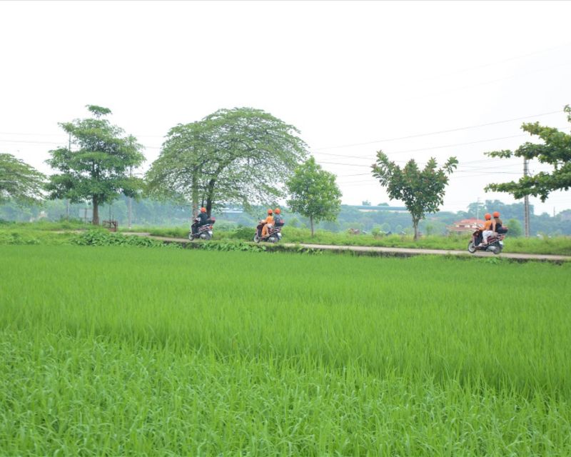 Hanoi Motorbike Countryside Tour - The Ancient Village Gate and Rice Wine