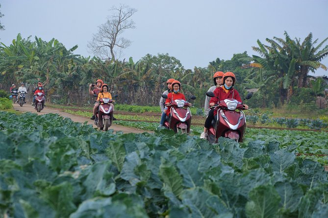 Hanoi Motorbike Tours Led By Women: Hanoi Outskirts & Rural Life - Why this scooter tour gets you beyond central Hanoi