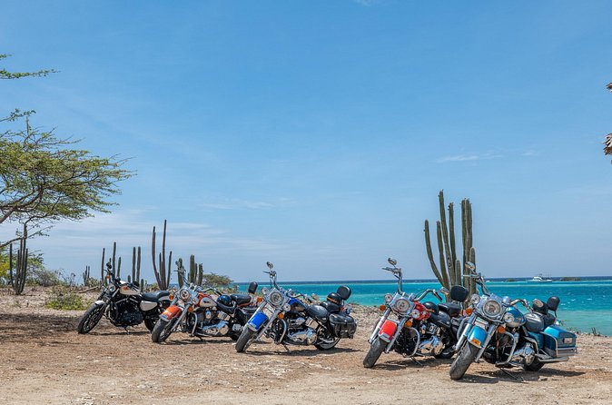 Harley-Davidson RENTALS ONLY 4 hrs - Price and what you actually receive