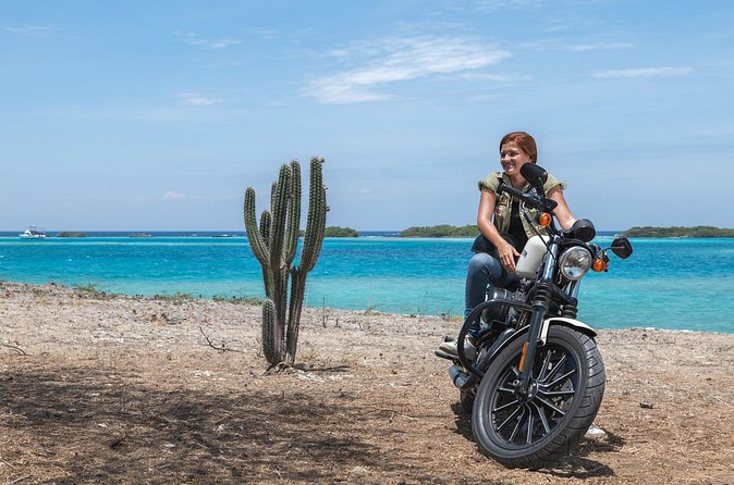 Harley-Davidson RENTALS ONLY 4 hrs - Who will enjoy this rental most