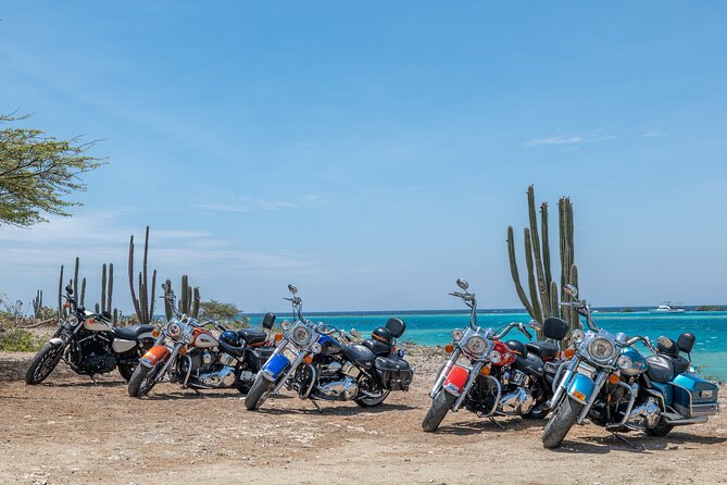 Harley-Davidson RENTALS ONLY 8 hrs - Why a Harley makes sense for seeing Aruba