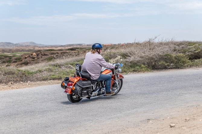 Harley-Davidson RENTALS ONLY 8 hrs - Picking the right motorcycle for your day