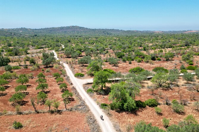 Hills & Thrills: 4 Hr Fonte da Benémola Electric Motorbike Tour - Key points to know before you book