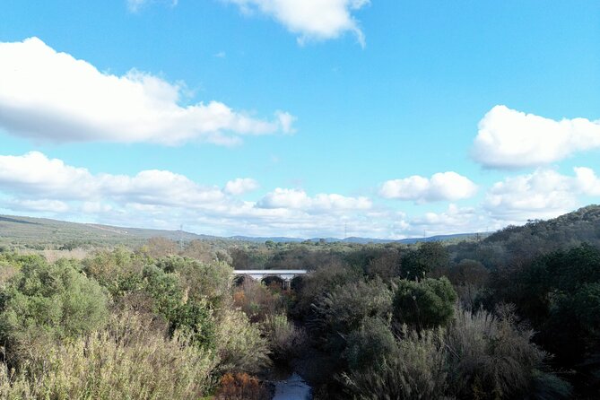 Hills & Thrills: 4 Hr Fonte da Benémola Electric Motorbike Tour - Coffee in a typical Portuguese café