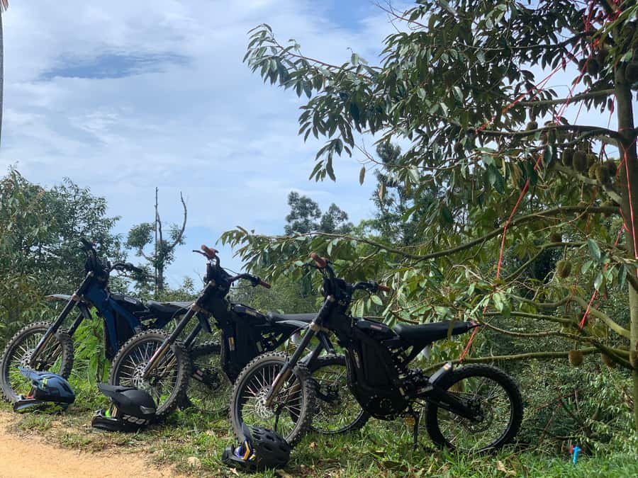 Koh Samui : Electric Motorbike trip in mountain - FAQ