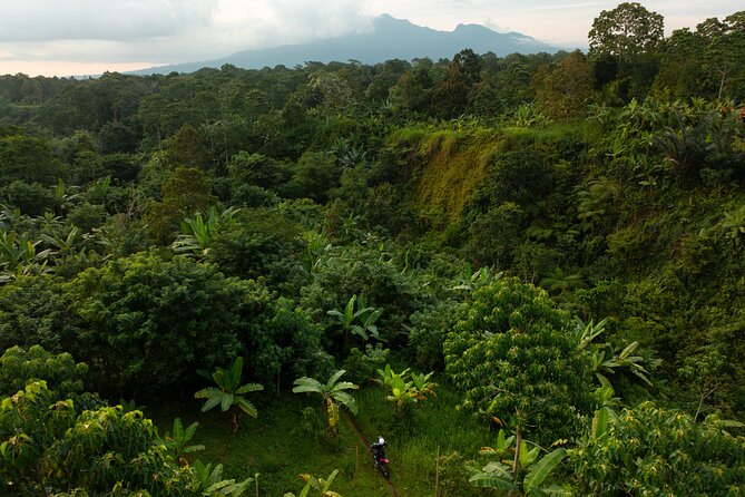 Lombok Off Road Dirt Biking and Enduro Trails Adventure - Why this Lombok ride feels different