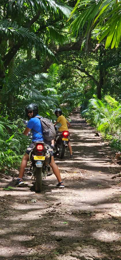 Mauritius: On-road Motorcycle Full Day Trip - Is $194 good value for one rider?