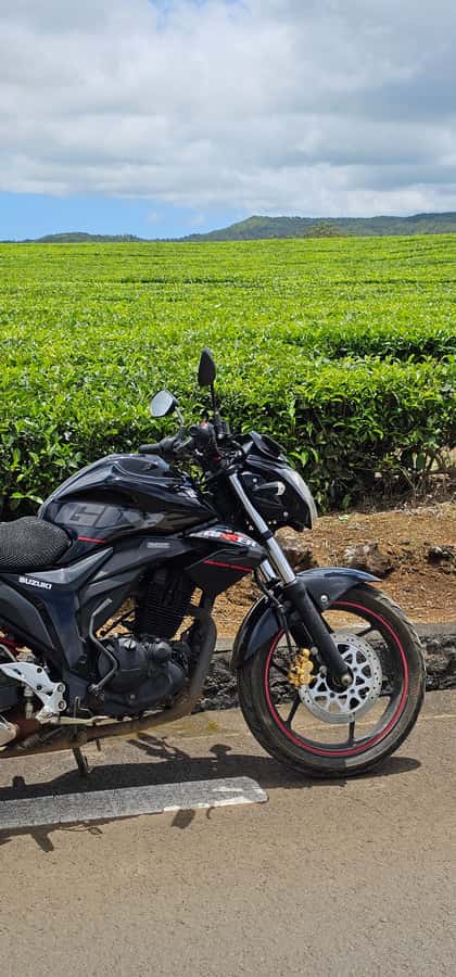 Mauritius: On-road Motorcycle Full Day Trip - Who will enjoy this ride most?